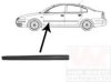 VAN WEZEL 5836423 Trim/Protective Strip, door